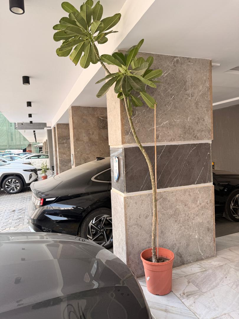 مشروع الأصائل 40